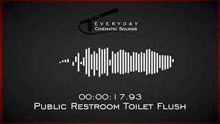 Public Restroom Toilet Flush  HQ Sound Effects [upl. by Thatch690]