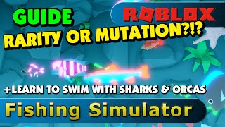 Fishing Simulator explaining rarity and mutation  how to swim with sharks and orcas Roblox 2K [upl. by Nirrat]