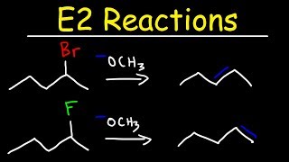 E2 Reaction Mechanism  Hoffman Elimination vs Zaitsevs Rule [upl. by Meer]