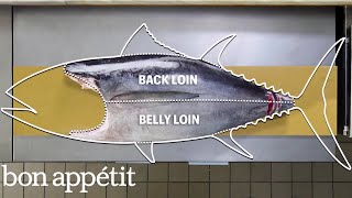 How To Butcher a Whole Tuna Every Cut of Fish Explained  Handcrafted  Bon Appétit [upl. by Camp]