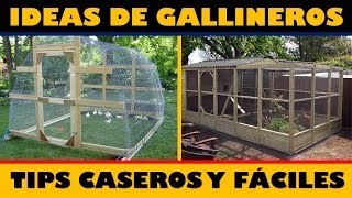 Las Mejores Ideas para hacer Gallineros  Tips Caseros [upl. by Elletnuahs]