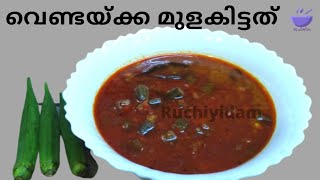 5 മിനുറ്റിൽ തയ്യാറാക്കാം വെണ്ടയ്ക്ക മുളകിട്ടത്  Vendakka Mulakittathu  Vendakka Curry Recipe [upl. by Ihculo188]