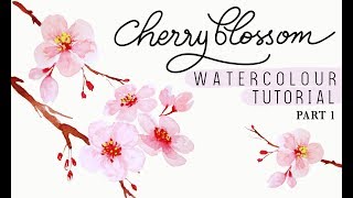 How to paint Sakura  Cherry Blossom Flowers [upl. by Dnomhcir]