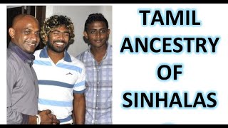 Tamil ancestry of Sinhalas  Sri Lanka DNA History [upl. by Daraj]