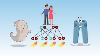 Beyond Healthcare The Social Determinants of Health [upl. by Oivat]