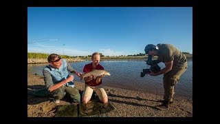 VISblad TV  feedervissen op barbeel [upl. by Nahpets]