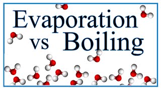 Boiling vs Evaporation Definition Examples amp Explanation [upl. by Htevi]