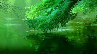 Beautiful Anime  Nature AMV [upl. by Eimmaj]