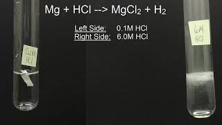 Magnesium reacting with Hydrochloric Acid [upl. by Ailb809]