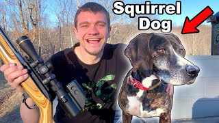 I Hunted Squirrels with My Hunting Dogs [upl. by Eladal]