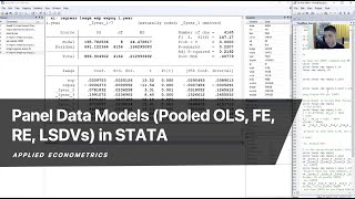 Panel Data Models Pooled OLS FE RE LSDVs in STATA [upl. by Mcferren765]