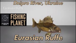 Eurasian Ruffe Dnipro River Ukraine Fishing Planet Guide [upl. by Tonneson328]