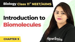 Introduction to Biomolecules  Class 11 Biology [upl. by Aleksandr225]