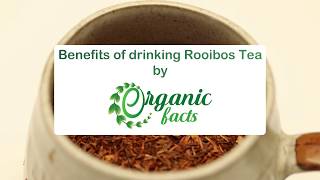 12 Impressive Benefits of Rooibos Tea  Organic Facts [upl. by Eicam842]