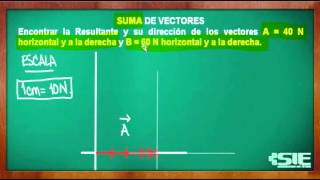 Suma De Vectores Con Misma Dirección Y Sentido [upl. by Wier]