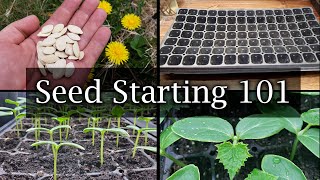 How To Start Vegetable Seeds  The Definitive Guide For Beginners [upl. by Hyams]