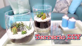 Idea fácil para hacer un regalo  Terrario con plantas DIY [upl. by Kapor]