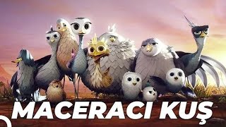 Maceracı Kuş Yellowbird Animasyon Filmi  Full Film İzle [upl. by Iren277]