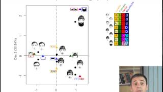 LAnalyse des Correspondances Multiples en 6 minutes [upl. by Yer]