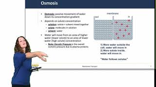 Cell Physiology Membrane Transport [upl. by Brownson]