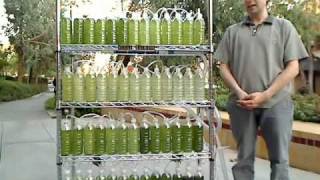 An Algae Bioreactor from Recycled Water Bottles [upl. by Yung49]