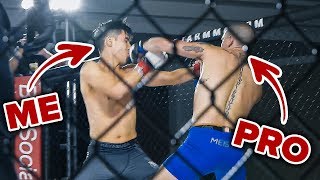 I Trained To Become An MMA Fighter In 4 Months [upl. by Melinda639]