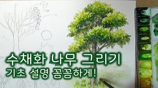 수채화 기초 나무 그리기  초등학생도 따라하기 쉬운 풍경수채화  Tree watercolor painting [upl. by Charisse]