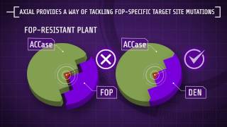 Explaining Herbicide Resistance Herbicide modes of action [upl. by Leaj]