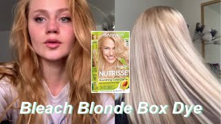 Bleaching Hair with Box Dye [upl. by Isaak520]