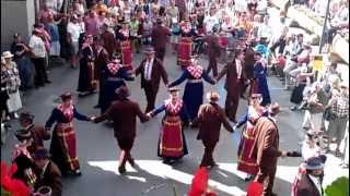 Traditional Swiss Dance [upl. by Neala]