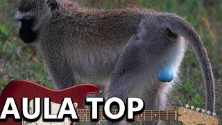 IMPROVISO MACACO DA BOLA AZUL [upl. by Gabrielson]