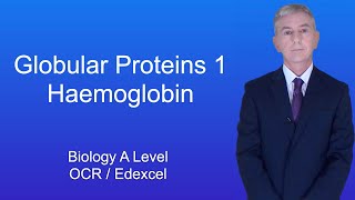 A Level Biology Revision quotGlobular Proteins 1 Haemoglobinquot [upl. by Elocan]