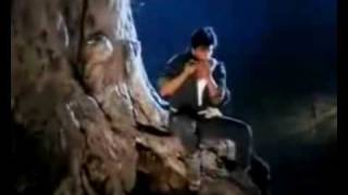 Koyla Mix  Shahrukh amp Madhuri [upl. by Macey]