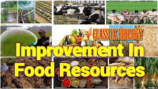 Improvement In Food Resources Class 9 Biology Full Chapter [upl. by Asp]