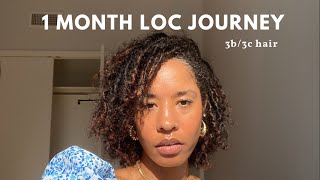 Starter Locs on 3b3c hair  1 month loc journey  comb coil starter locs [upl. by Llerrej]