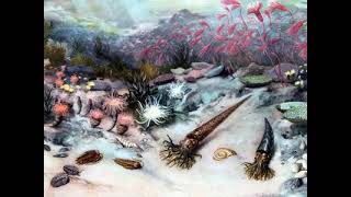 The Late Ordovician Mass Extinction [upl. by Hufnagel]