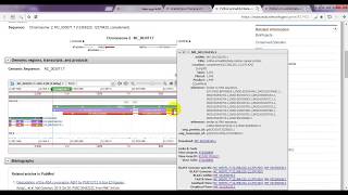 How to identify the position of exons of any gene by ncbi [upl. by Linet173]