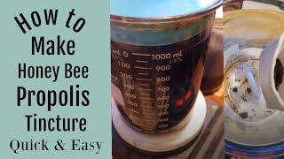 How to Make a Bee Propolis Tincture Quick and Easy [upl. by Cai]