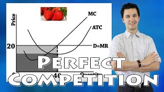 Perfect Competition Microeconomics [upl. by Casper]