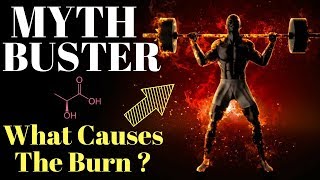 MYTHBUSTERS 1 What Causes That Muscle Burn Feeling [upl. by Ellehsram]