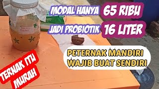 CARA BUAT PROBIOTIK SENDIRI [upl. by Halsted]