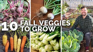 10 Veggies to Plant NOW for a Fall Harvest [upl. by Ahsiyt]