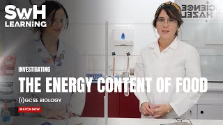 Investigating The Energy Content Of Food  Biology Practicals [upl. by Yvonner861]