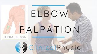 Elbow Palpation  Clinical Physio Premium [upl. by Acquah102]