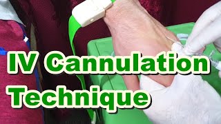 How to Insert IV Cannula  IV Cannulation Technique  Branula  Intravenous Catheter [upl. by Nadeau752]