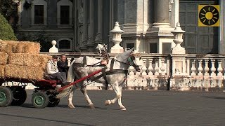 SIZILIEN  Teil 2 quotGlanzlichter von Syrakus Catania und den Ätna entdeckenquot SICILY  SICILIA [upl. by Kcirnek]