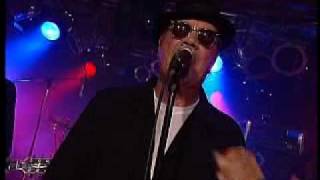 Mitch Ryder  Subterranean Homesick Blues [upl. by Llerol106]