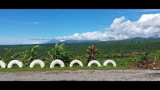 Hargy Oil Palm Estate [upl. by Gayle982]