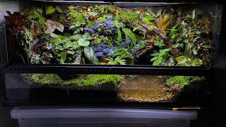 PALUDARIUM TUTORIAL  Step by step [upl. by Nylazor]