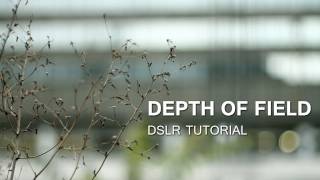 DSLR Tutorial Depth of Field [upl. by Eerehc]